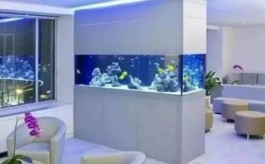 歐式半圓魚缸適合養魚嗎：歐式半圓魚缸是否適合養魚