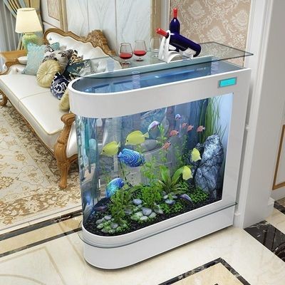 底濾魚缸進水口吸魚的原因(底濾魚缸過濾原理) 魚缸百科 第3張 底濾魚缸進水口吸魚的原因(底濾魚缸過濾原理) 底濾魚缸進水口吸魚的原因(底濾魚缸過濾原理) 魚缸百科 第3張