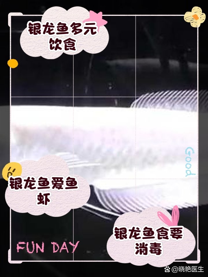 華藝國際拍賣有限公司的詳細背景，華藝國際拍賣有限公司 華藝國際拍賣有限公司的詳細背景，華藝國際拍賣有限公司 龍魚百科 第1張