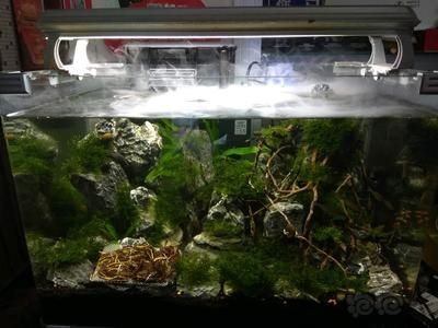 疊缸魚缸設計的設計理念：疊缸魚缸是一種創新的魚缸設計圖是一種創新的魚缸設計