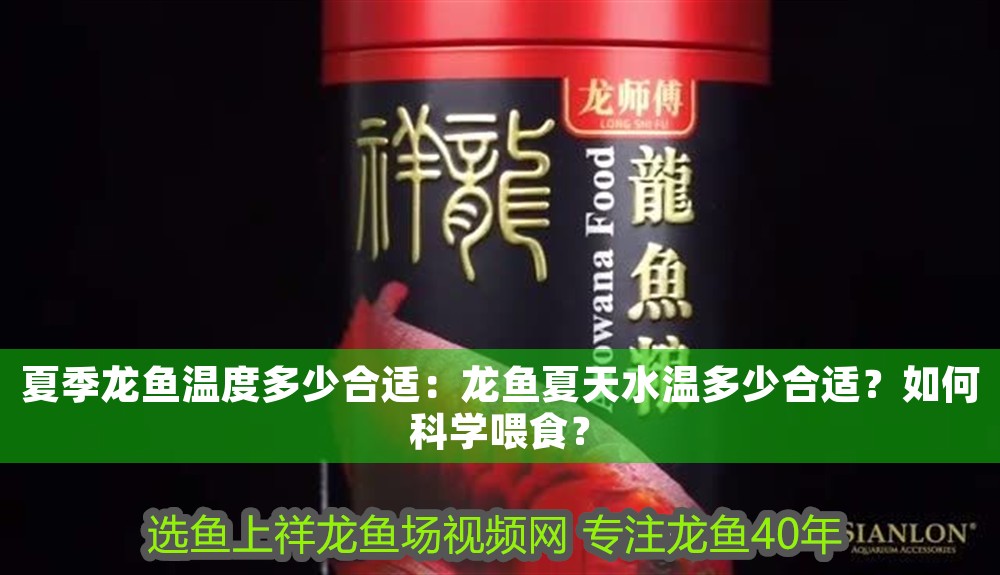 夏季龍魚溫度多少合適：龍魚夏<strong><mark>天水</mark></strong>溫多少合適？如何科學喂食？