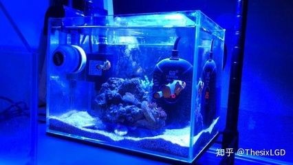 魚缸消毒的科學原理是什么魚缸消毒殺菌的基本原理：如何正確使用魚缸消毒劑