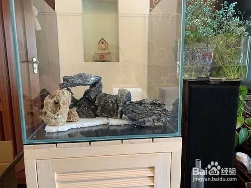 魚缸蓋怎么打開:魚缸蓋子的正確打開方式 魚缸百科 第4張 魚缸蓋怎么打開:魚缸蓋子的正確打開方式 魚缸蓋怎么打開:魚缸蓋子的正確打開方式 魚缸百科 第4張