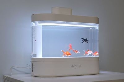 小魚(yú)缸配置都有什么東西：如何選擇適合的小魚(yú)缸 小魚(yú)缸配置都有什么東西：如何選擇適合的小魚(yú)缸 魚(yú)缸百科 第2張