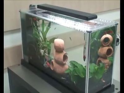 小魚(yú)缸配置都有什么東西：如何選擇適合的小魚(yú)缸 小魚(yú)缸配置都有什么東西：如何選擇適合的小魚(yú)缸 魚(yú)缸百科 第3張