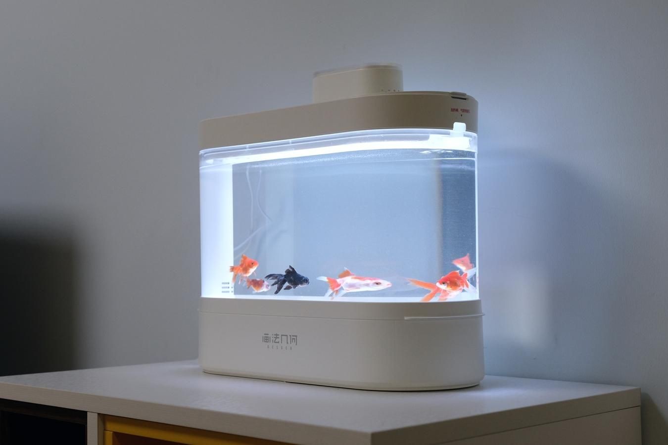 小魚(yú)缸配置都有什么東西：如何選擇適合的小魚(yú)缸 小魚(yú)缸配置都有什么東西：如何選擇適合的小魚(yú)缸 魚(yú)缸百科 第4張