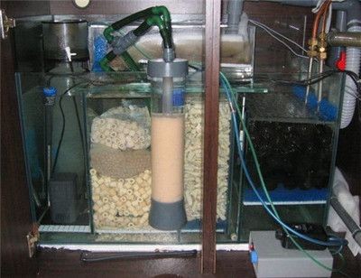 底濾魚缸進水口經常堵塞（底濾魚缸進水口堵塞怎么辦）