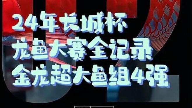 龍魚比賽視頻大全集 龍魚比賽視頻大全集 龍魚百科 第2張