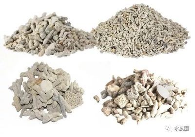 魚缸里的珊瑚石起什么作用：珊瑚石在海水魚缸中的作用