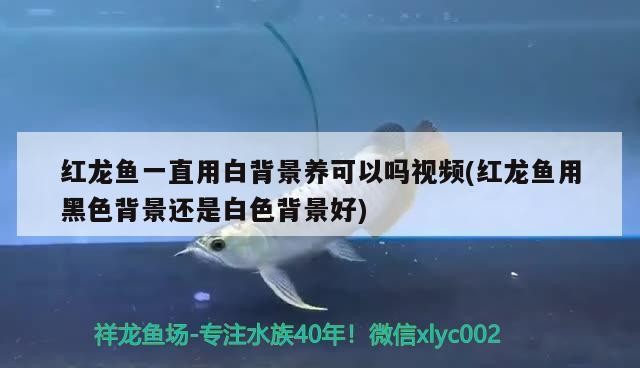 <strong><mark>金川</mark></strong>開發區草語花香花卉經銷部（<strong><mark>金川</mark></strong>開發區草語花香花卉經銷部電話）