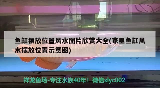 曲陽縣景<strong><mark>明水</mark></strong>族館（曲陽縣景<strong><mark>明水</mark></strong>族館電話）