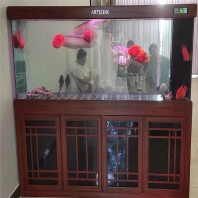 海景坊魚缸價格多少（海景坊魚缸價格一般多少）