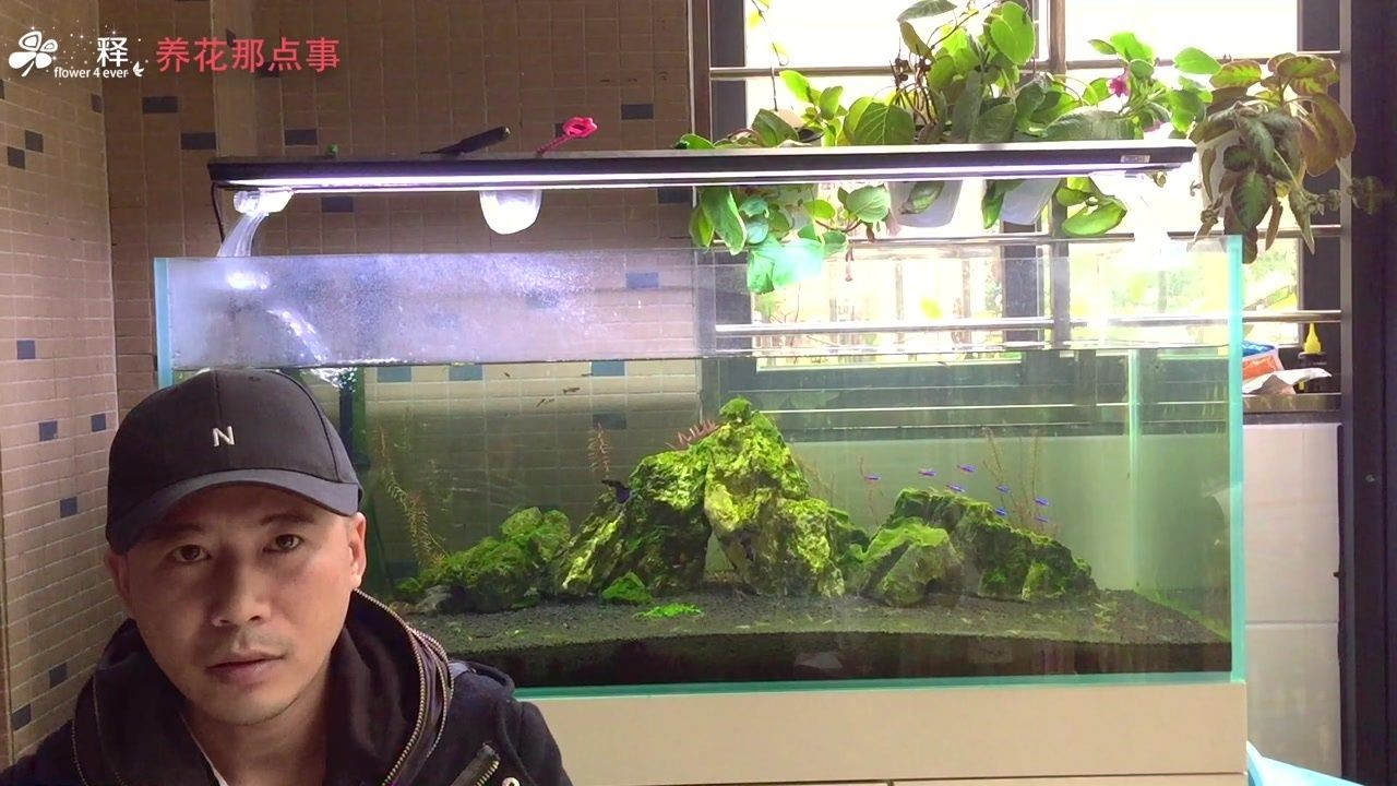 魚缸永遠不用換水,看看怎么回事（魚缸永遠不用換水,看看怎么回事,免換水）