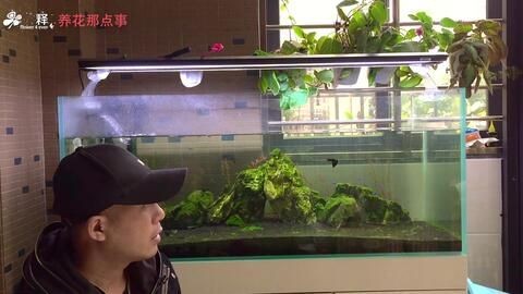 魚缸永遠不用換水,看看怎么回事（魚缸永遠不用換水,看看怎么回事,免換水）