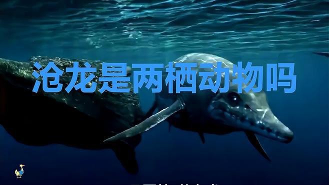 龍魚(yú)飲食禁忌，龍魚(yú)不宜喂食含有咖啡因的食物，今天吃什么,