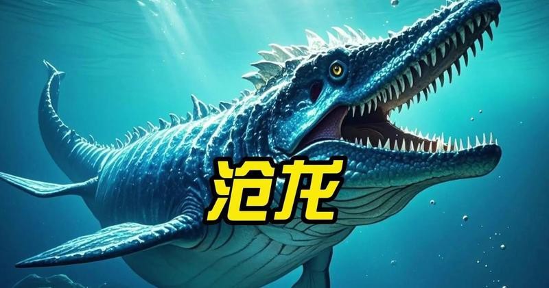 滄龍是如何適應海洋環境的？