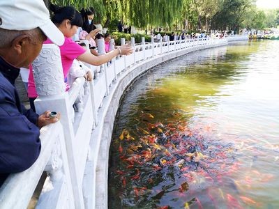 公園的觀賞魚可以釣走嗎（不讓釣魚屬于誰管？）
