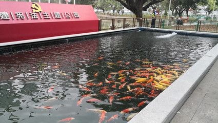 公園的觀賞魚可以釣走嗎（不讓釣魚屬于誰管？）