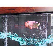 馬印水族最出名的三個(gè)品牌