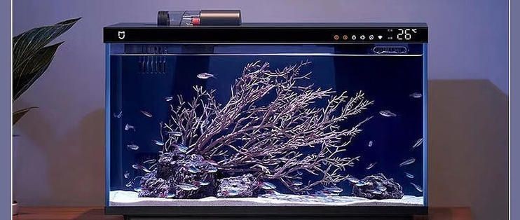 小米智能魚缸評測：小米智能魚缸怎么樣
