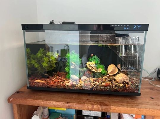 小米智能魚缸評測：小米智能魚缸怎么樣