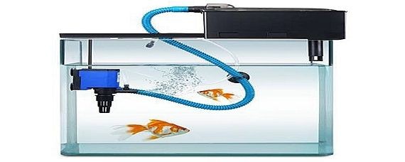 魚缸增氧泵噪音大如何消除（如何消除魚缸增氧泵的噪音）