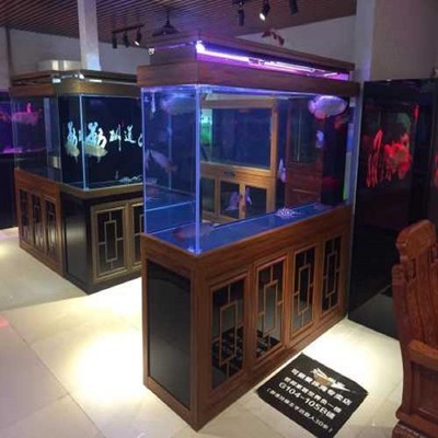 昂昂溪區(qū)家家金魚(yú)養(yǎng)殖場(chǎng)