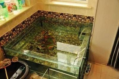 戶外玻璃魚缸設(shè)計(jì)需要注意的幾個(gè)設(shè)計(jì)要點(diǎn)：戶外玻璃魚缸設(shè)計(jì)：戶外玻璃魚缸的設(shè)計(jì)要點(diǎn)