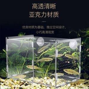 觀賞蝦飼養(yǎng)觀賞蝦的數(shù)量和大小、水質(zhì)惡化、水質(zhì)惡化：觀賞蝦的飼養(yǎng)技術(shù)