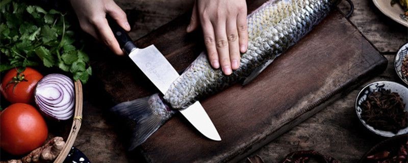 翹嘴和銀龍魚（翹嘴和銀龍魚在生物學分類、生活環境、外觀特征等方面存在不同）