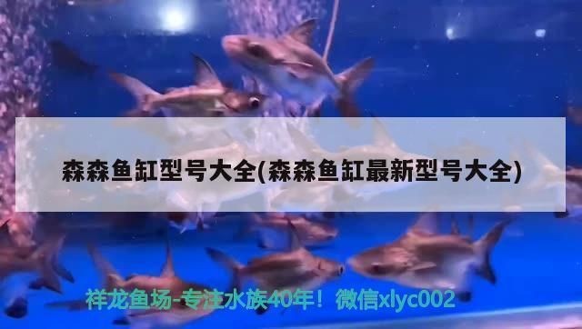 森森魚缸好嘛：森森魚缸與小米魚缸對(duì)比