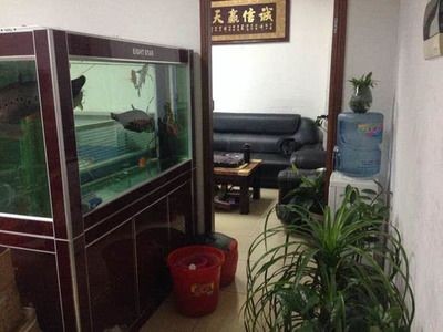 辦公室魚缸的擺放有什么講究（辦公室魚缸擺放有什么講究）