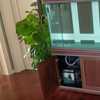 漢霸魚缸和森森魚缸哪個好一點呢：漢霸魚缸與森森魚缸價格對比