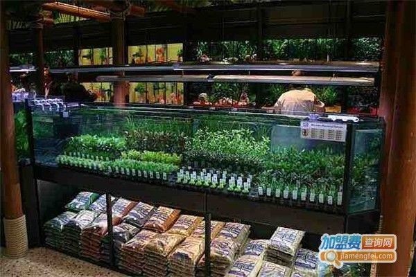 觀賞魚缸加盟店排行榜前十名的品牌：&nbsp：觀賞魚缸加盟店排行榜