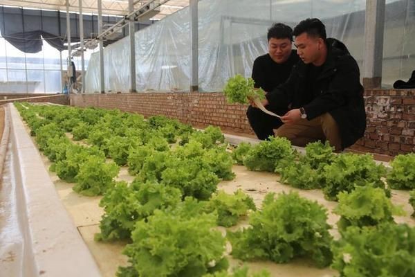 定興縣魚缸批發市場價格：保定魚缸批發市場價格