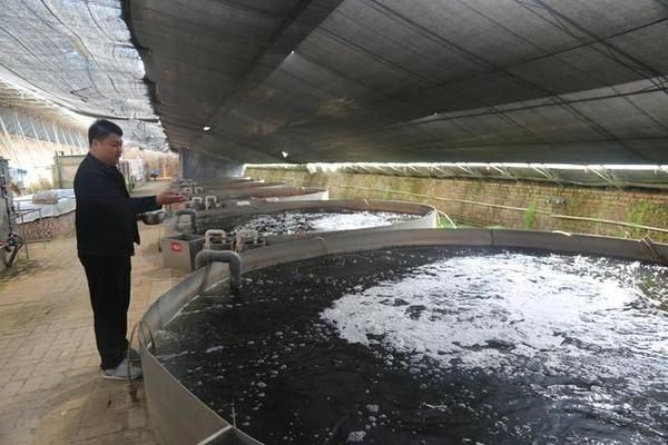定興縣魚缸批發市場價格：保定魚缸批發市場價格