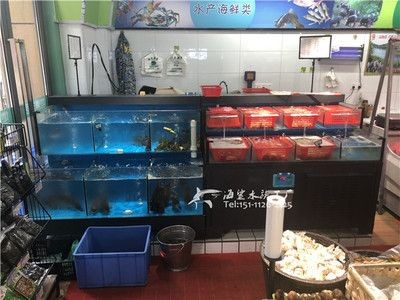 魚缸消毒的方法有哪些？：魚缸消毒是養魚過程中的一項重要步驟