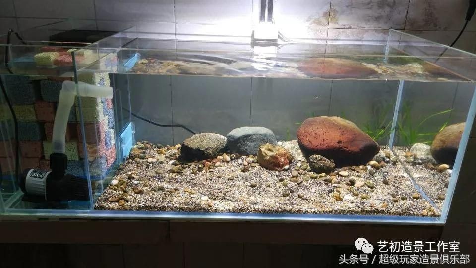 魚缸底濾的維護技巧魚缸底濾的維護技巧魚缸底濾的維護技巧：底濾魚缸水質的管理