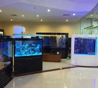 可麗愛(ài)魚(yú)缸到底好不好（可麗愛(ài)魚(yú)缸到底好不好,綜上所謂）
