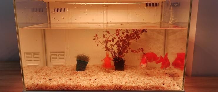畫法幾何魚缸c500說明書：畫法幾何魚缸c500智能系統使用指南