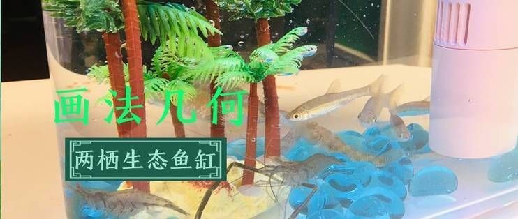 畫法幾何魚缸c500說明書：畫法幾何魚缸c500智能系統使用指南