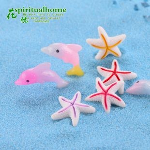 海豚魚缸圖片大全：海豚魚缸圖片大全大全