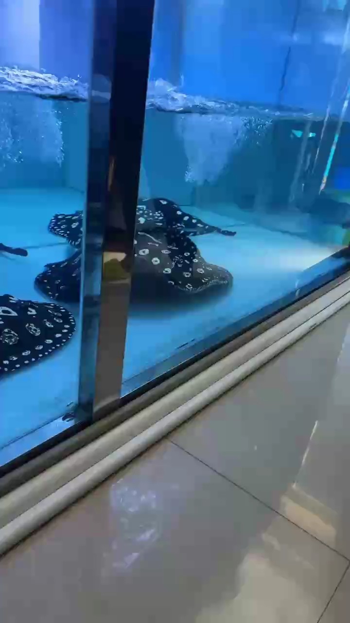 #結果是最好的答案