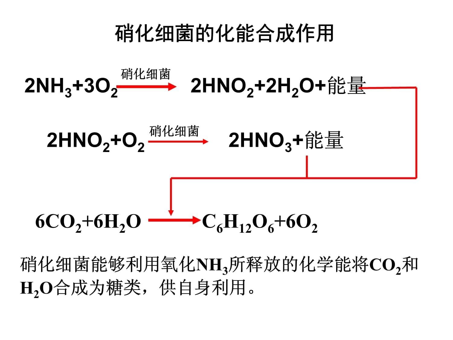 光合硝化細菌直接放魚缸里嗎可以嗎（光合硝化細菌的使用） 光合硝化細菌直接放魚缸里嗎可以嗎（光合硝化細菌的使用） 魚缸百科 第3張