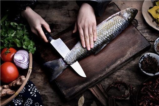 非洲肺魚的生存策略：肺魚的生存策略 非洲肺魚的生存策略：肺魚的生存策略 魚缸百科 第2張