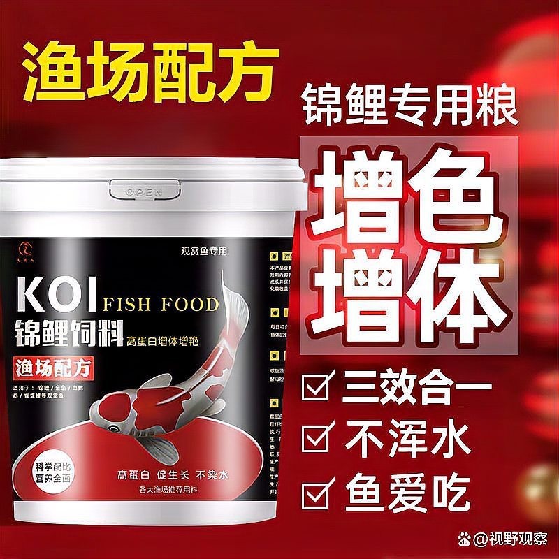 銀龍魚(yú)喂錦鯉飼料行嗎
