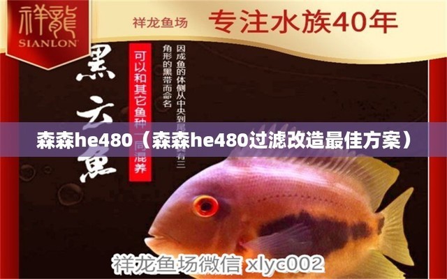 吳川市長岐日華水族館（吳川長歧）