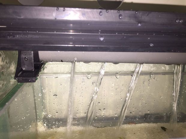 魚缸漏水怎么辦：底濾魚缸出水口漏水解決方案diy修復(fù)魚缸技巧