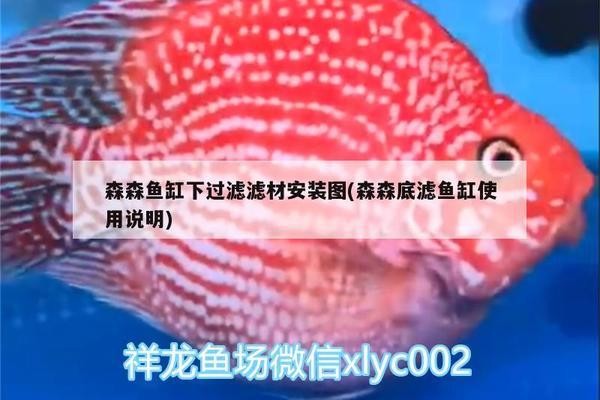 太原市萬柏林區海納利爾水族店