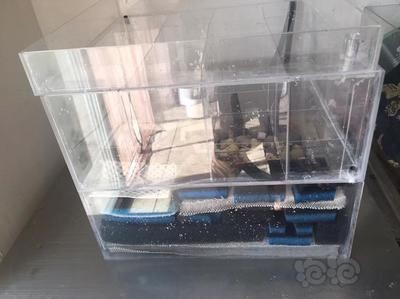 底濾魚缸除不了油膜怎么整